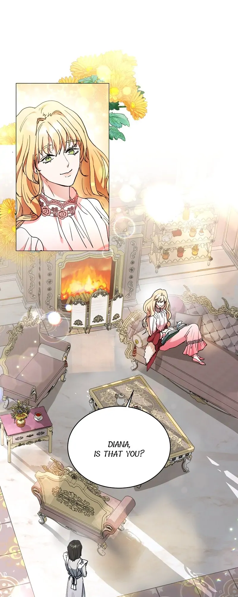 26253120 800 2000 141996